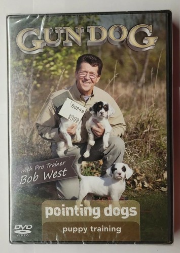 Gun dog pointing - gun, puppy