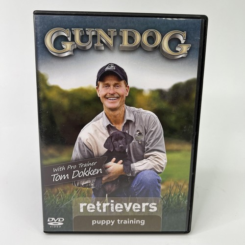 Gun dog retrievers - dog,