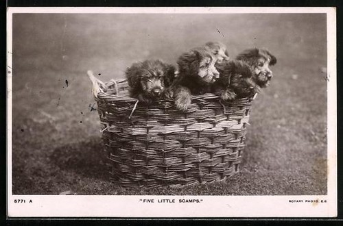 Cartolina five little - cartolina, scamps
