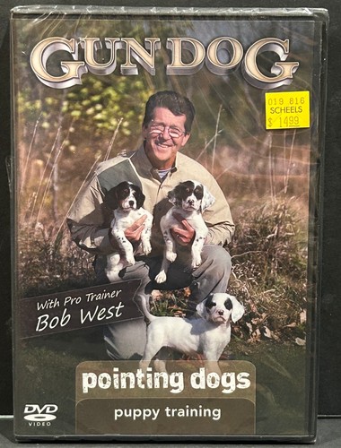 Gun dog pointing dogs puppy - gun,