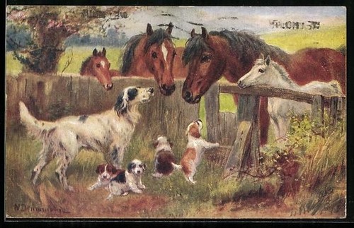 Cartolina cagnolina caccia - cartolina, da