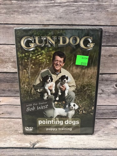 Gun dog pointing dogs puppy - gun,