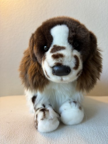 Douglas cuddle english - douglas,