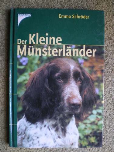 Der kleine münsterländer - münsterländer,