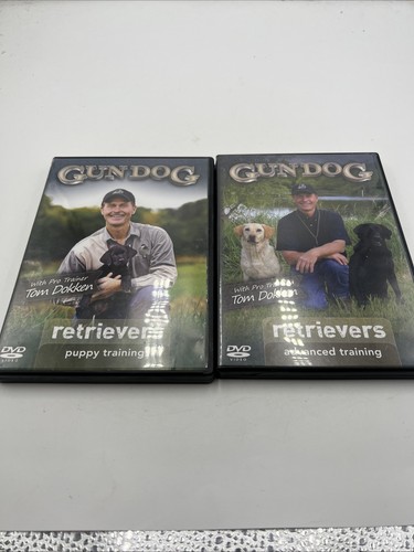Gun dog retrievers - dog,