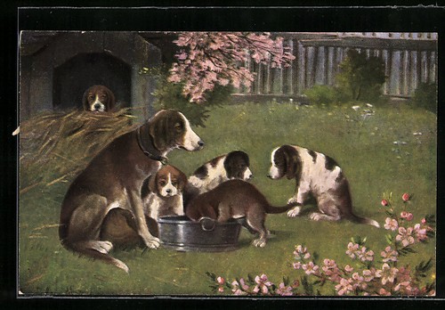 Cartolina cane caccia - cane, da