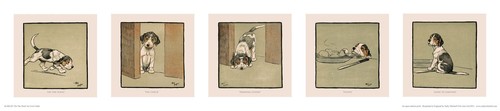 Foxhound puppy print cecil - by,