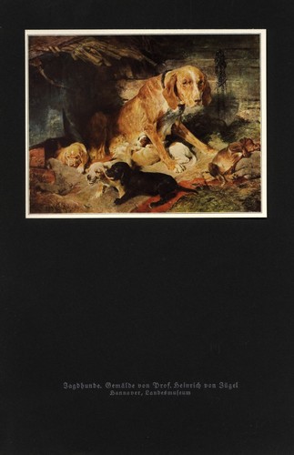Stampa artistica cani - , da