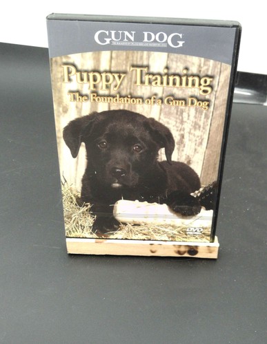 Gun dog puppy training - dog:, the