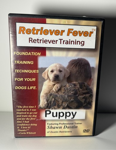 Retriever fever puppy - retriever,